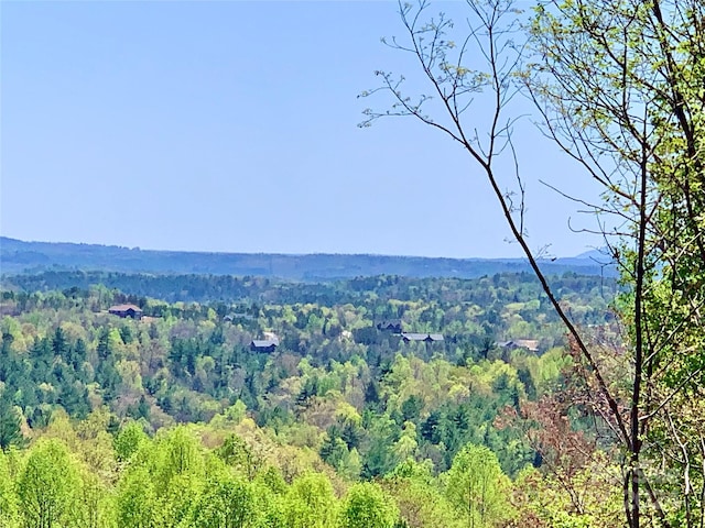 4.77ACRES LOT245 Johns Ridge Parkway Lot 245, Lenoir, NC 28645 - photo 2
