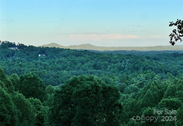 4.77ACRES LOT245 Johns Ridge Parkway Lot 245, Lenoir, NC 28645 - photo 5