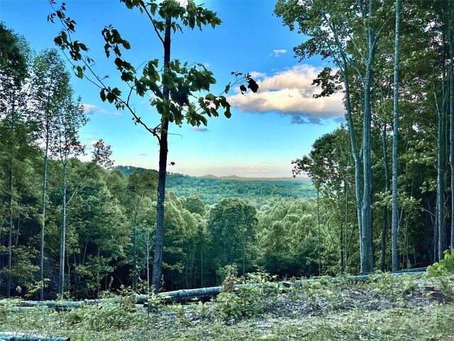 4.77ACRES LOT245 Johns Ridge Parkway Lot 245, Lenoir, NC 28645 - photo 6