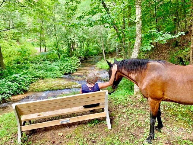 4.77ACRES LOT245 Johns Ridge Parkway Lot 245, Lenoir, NC 28645 - photo 42