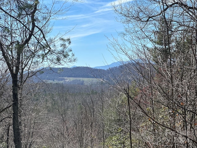 00 Orchard View Trl Unit 1, Spruce Pine NC, 28777 land for sale