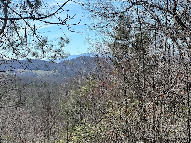 Listing photo 3 for 00 Orchard View Trl Unit 1, Spruce Pine NC 28777