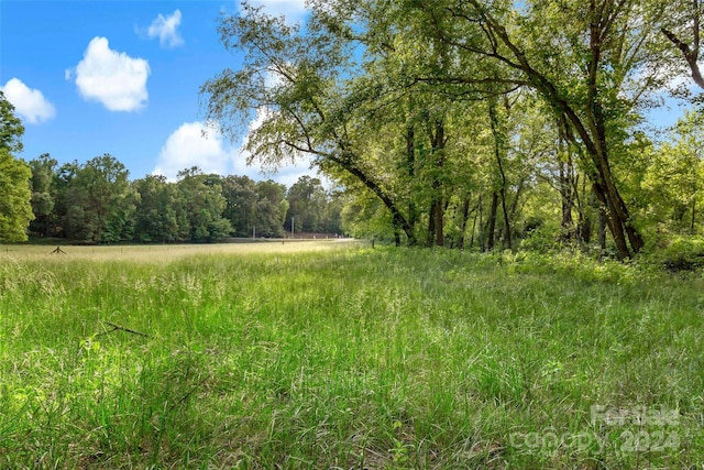 view of local wilderness