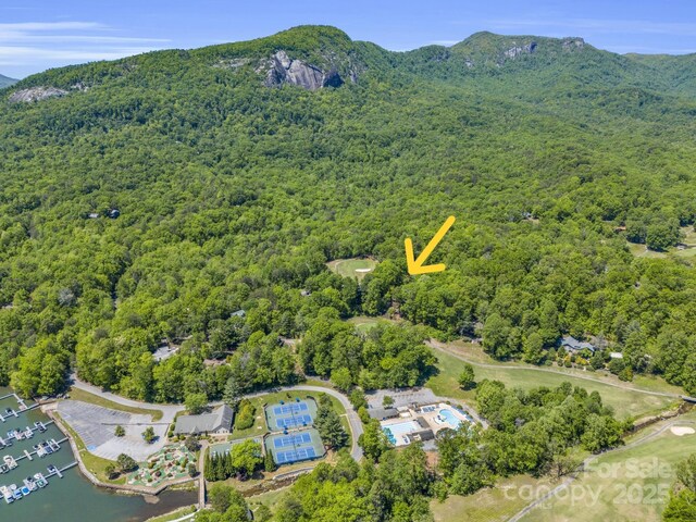 255 Gateway Dr, Lake Lure, NC 28746 - photo 4