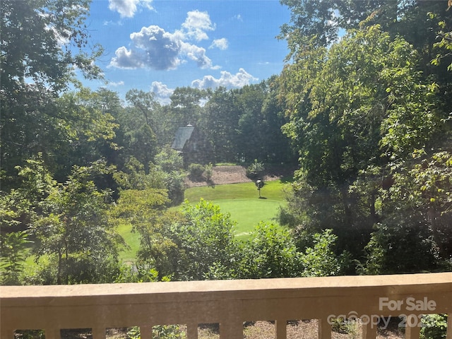 255 Gateway Dr, Lake Lure, NC 28746 - photo 31
