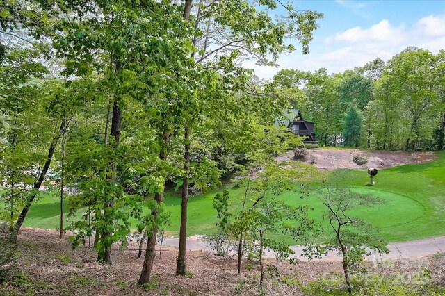 255 Gateway Dr, Lake Lure, NC 28746 - photo 37