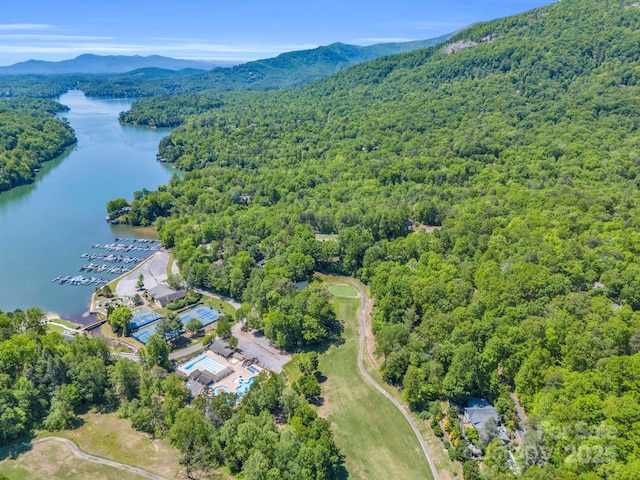 255 Gateway Dr, Lake Lure, NC 28746 - photo 39