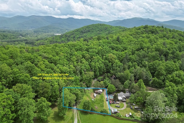 556 Laurel Valley Dr, Asheville NC, 28805 land for sale