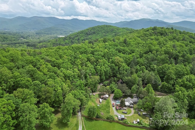 Listing photo 3 for 556 Laurel Valley Dr, Asheville NC 28805