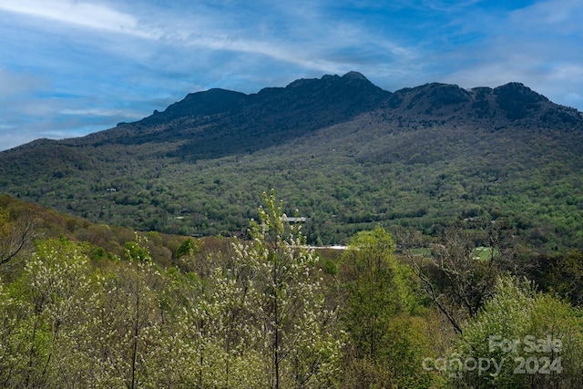 627 Rock Ledge Dr, Linville NC, 28646 land for sale