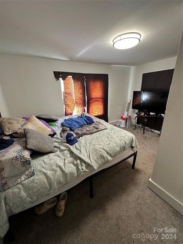 bedroom featuring carpet