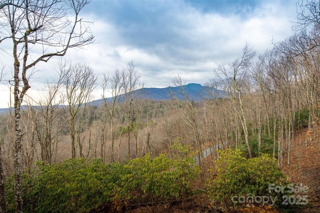 property view of mountains