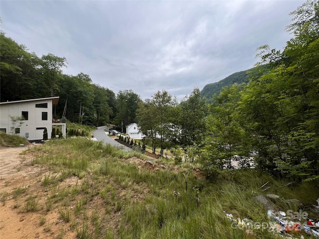 Listing photo 3 for 0 Fall Creek Dr, Chimney Rock NC 28720