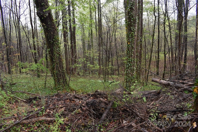 view of local wilderness