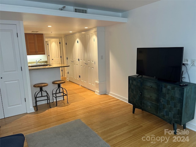 living room featuring sink and light hardwood / wood-style flooring