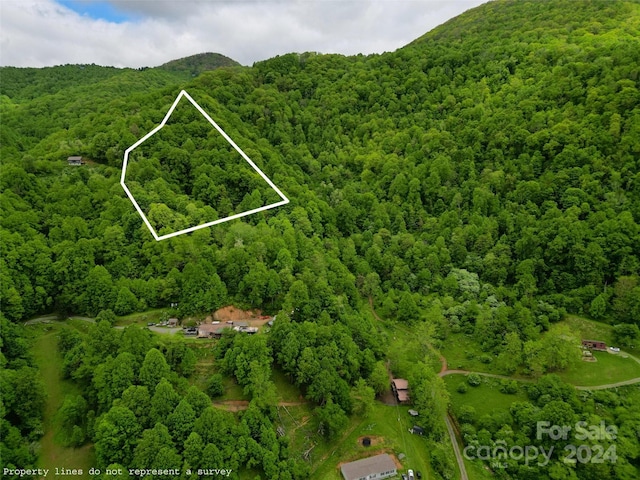 00 Stone House Trl, Clyde NC, 28721 land for sale