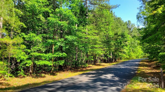 0 Loblolly Ln Unit 24, Mill Spring NC, 28756 land for sale