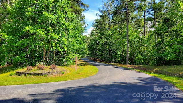 Listing photo 3 for 0 Loblolly Ln Unit 24, Mill Spring NC 28756