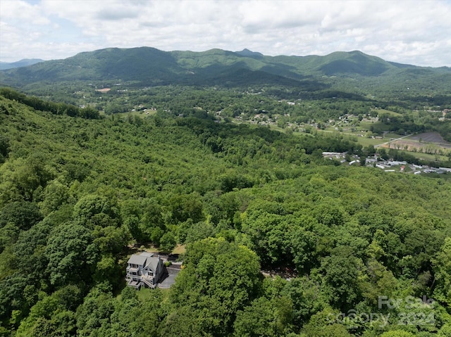 Listing photo 2 for 99999 Mountain Dr, Candler NC 28715