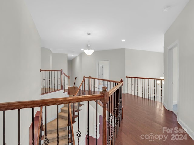 hallway featuring dark wood-type flooring