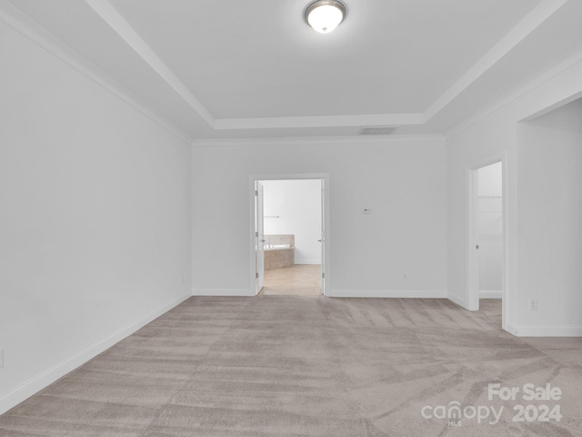 spare room with light colored carpet and a raised ceiling