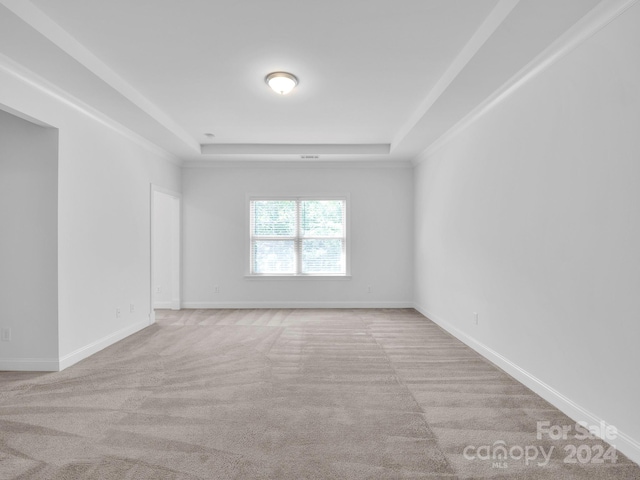 carpeted spare room featuring a raised ceiling