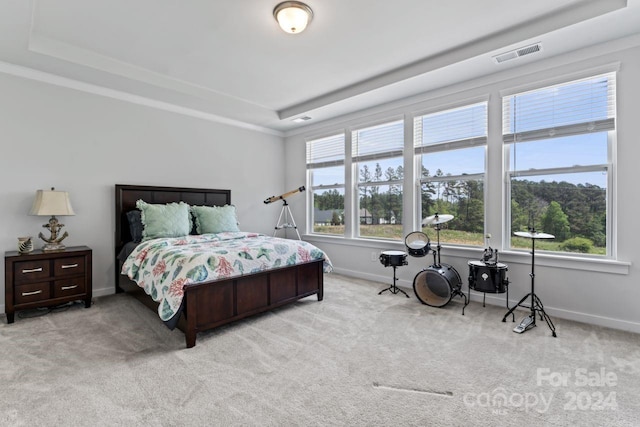 bedroom featuring carpet flooring and a raised ceiling