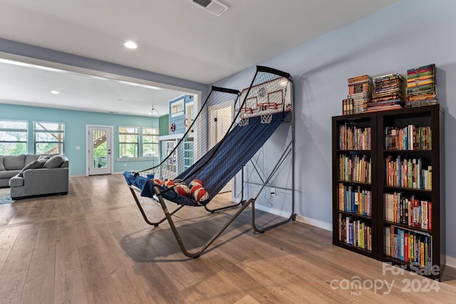 game room featuring wood-type flooring