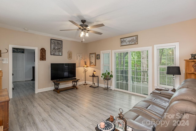 living room featuring ceiling fan, light wood-type flooring, and crown molding