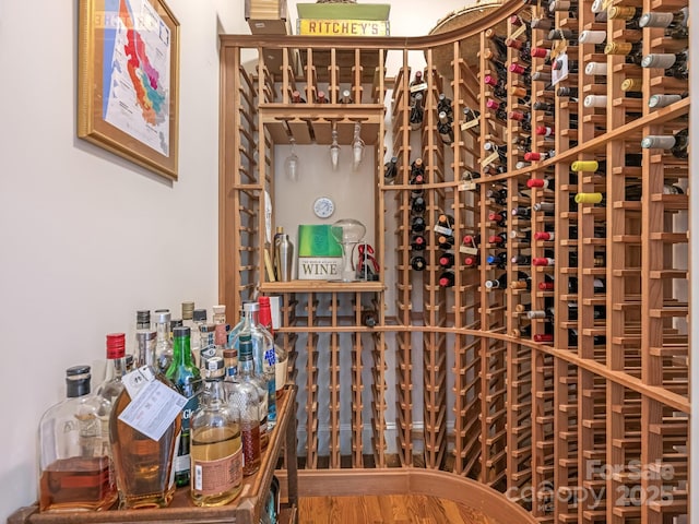 wine area featuring wood-type flooring