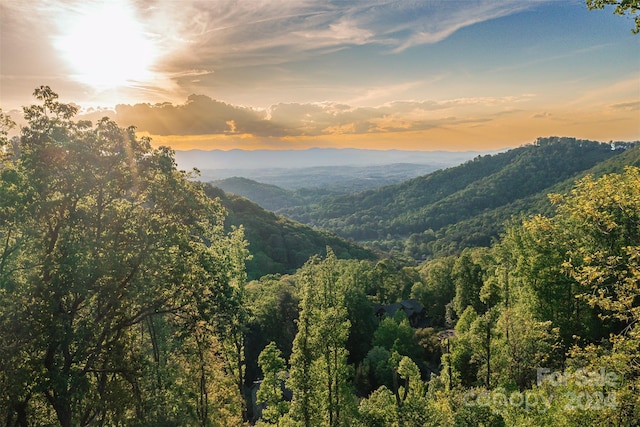 20 Timberwolf Ct, Asheville NC, 28804 land for sale