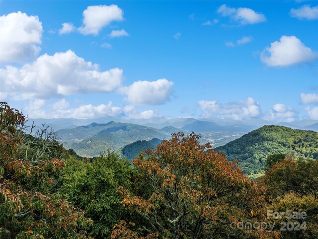 LOTE5 Unula Loop Unit E-5, Maggie Valley, NC 28751