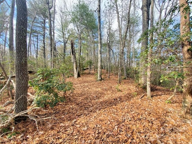 Listing photo 2 for 00 Elkins Rd, Bakersville NC 28705