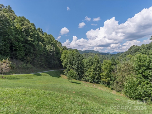 Listing photo 2 for LOTS3, 4 Seay Mountain Rd, Waynesville NC 28785