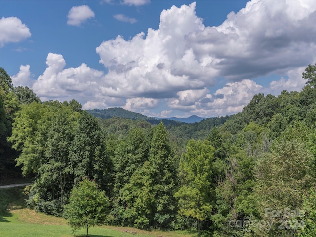 Listing photo 3 for LOTS3, 4 Seay Mountain Rd, Waynesville NC 28785