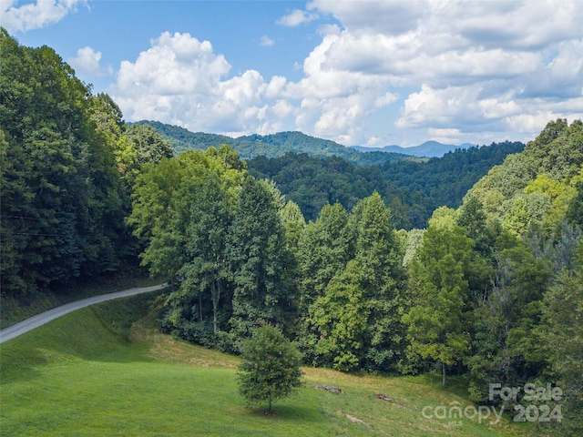 LOTS3, 4 Seay Mountain Rd, Waynesville NC, 28785 land for sale