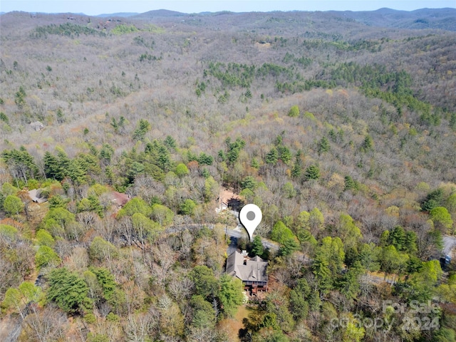 bird's eye view featuring a mountain view