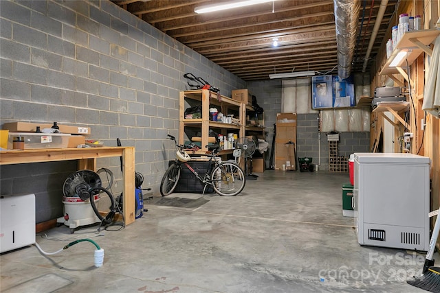 basement with refrigerator