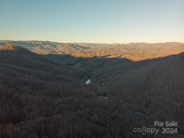 0 Chestnut Cove Rd, Bryson City NC, 28713 land for sale