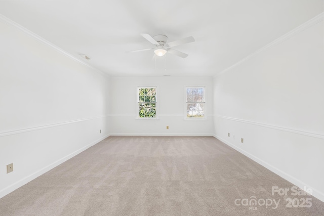 spare room featuring carpet, baseboards, and crown molding