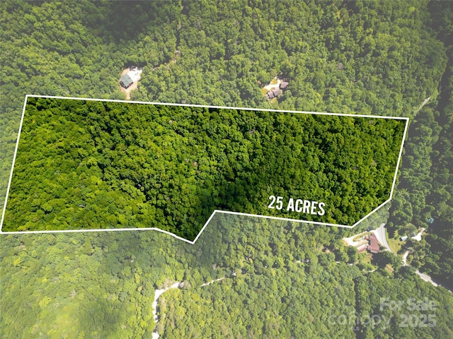 4277 Pickens Hwy, Rosman NC, 28772 land for sale