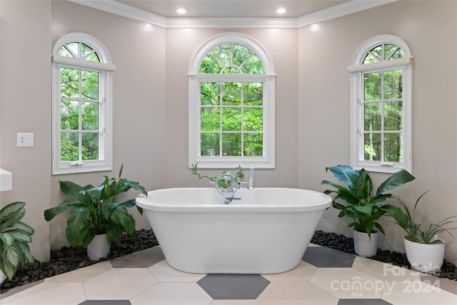 bathroom with ornamental molding, a bath, and a wealth of natural light