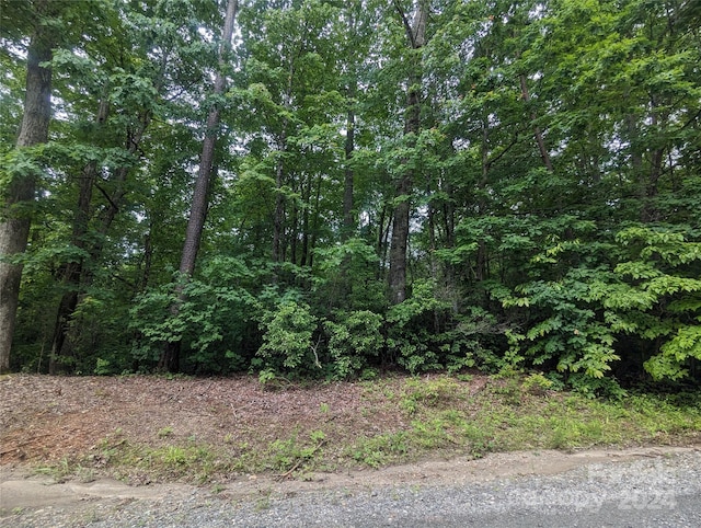 0 Jones Ct Lot 552, Lake Lure NC, 28746 land for sale