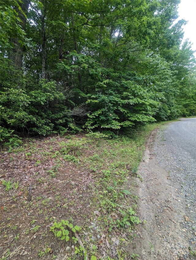 Listing photo 3 for 0 Jones Ct Lot 552, Lake Lure NC 28746