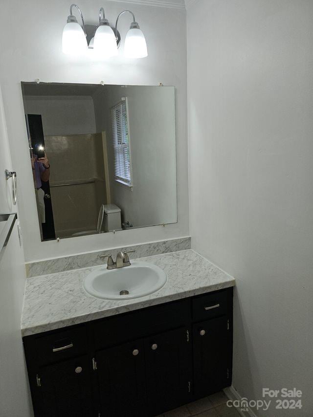 bathroom with toilet and large vanity