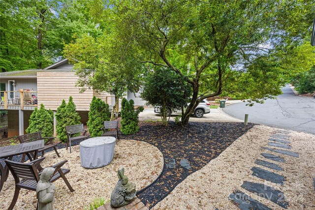 view of yard with a balcony