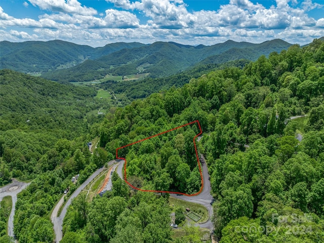 397 Freemont Dr Unit 72, Leicester NC, 28748 land for sale