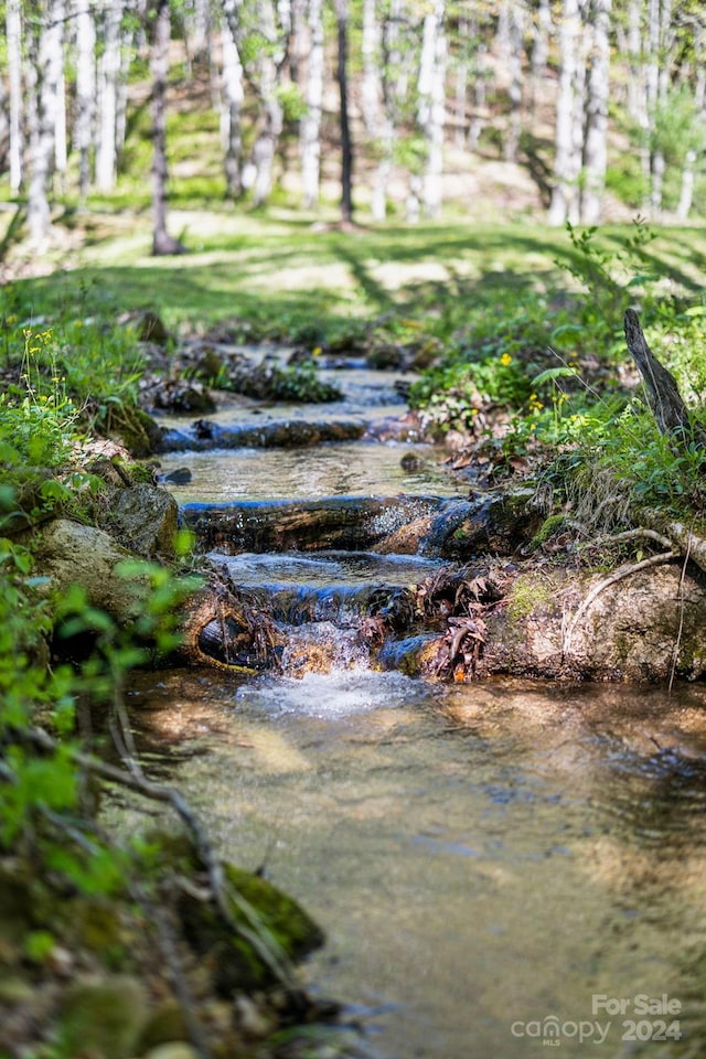 view of nature with a water view