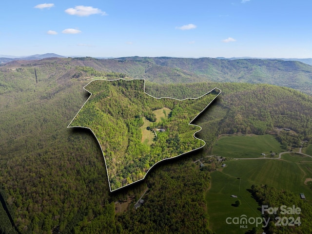 birds eye view of property with a mountain view