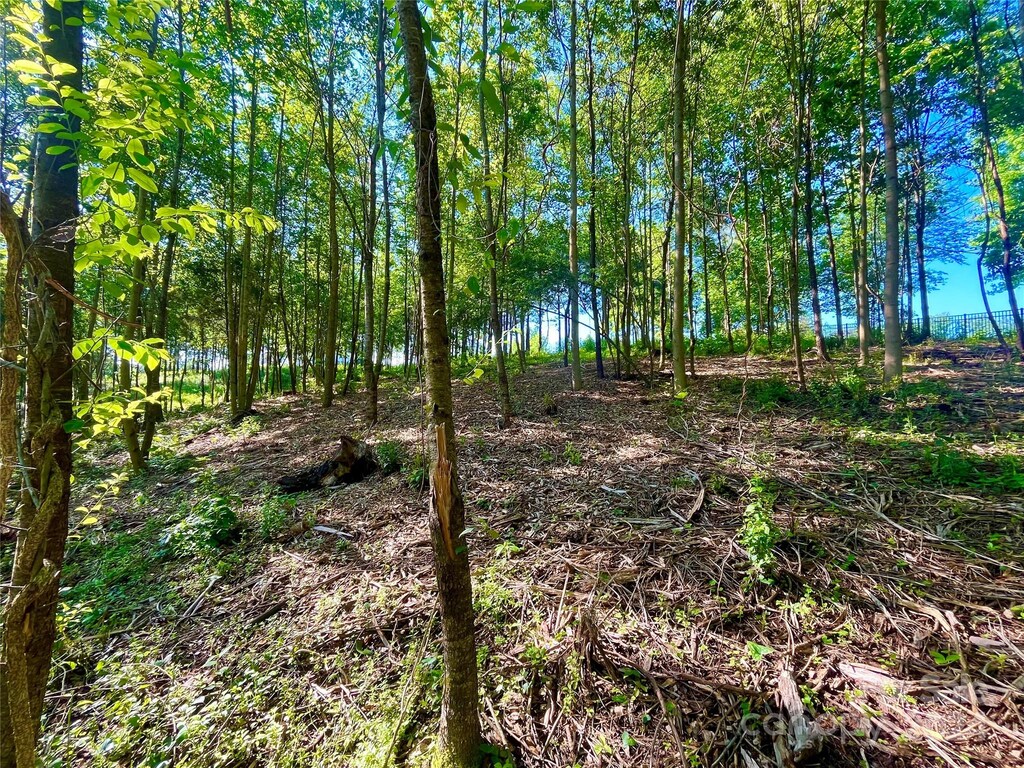 151 Ryleigh Dan Pl Unit 11, Mooresville, NC 28115 - photo 4
